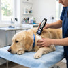 The Science of Low-Stress Grooming: Why Your Pet’s Thesis Starts at Home